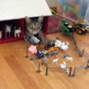 Meet your Posher, Ellen